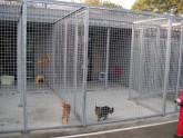 B&S Hekwerk & Kennelbouw Kattenren
